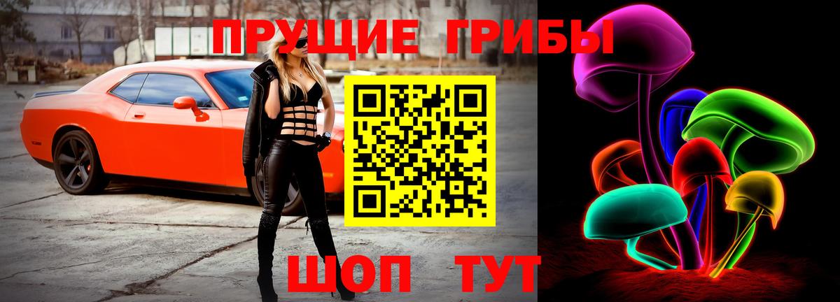 Галлюциногенные грибы Psilocybine cubensis  Вход с VPN  Зерноград 